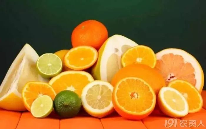 种柑橘增加收益的十条建议,如何把柑橘打开销路