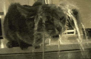 面膜你敷对了吗文案,面膜你敷对了吗拯救敏感肌