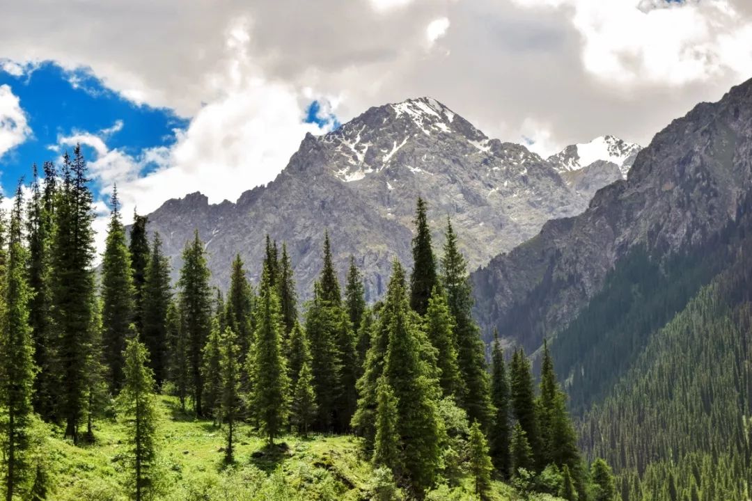 中国四大宝石,中国主要宝石分布图高清