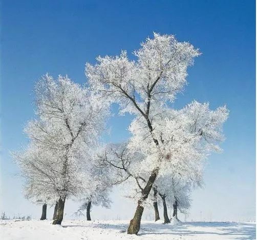 中国境内最好的宝石,中国哪里宝石最多