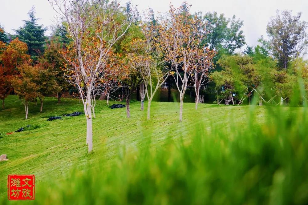 钟灵毓秀第二季,钟灵毓秀第二季全集