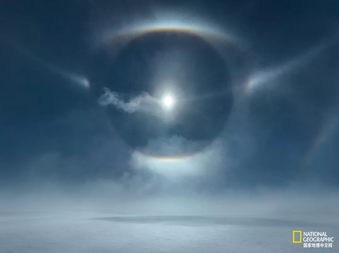 外星生物会长什么样子,外星生物真的存在吗