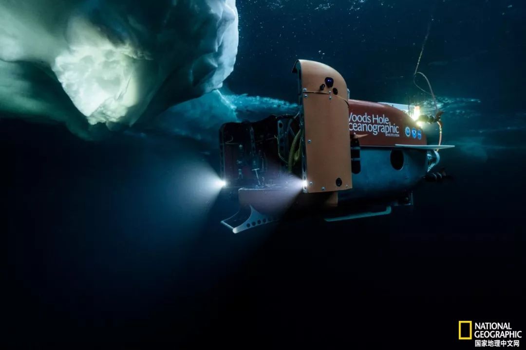 外星生物会长什么样子,外星生物真的存在吗