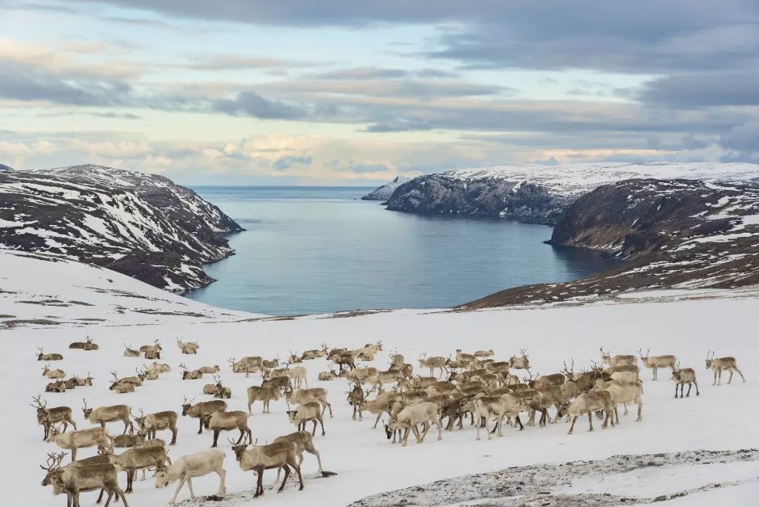冰雪奇缘是英文电影吗,冰雪奇缘简介视频