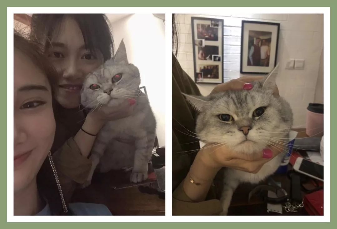 十一月好物种草,11月好物