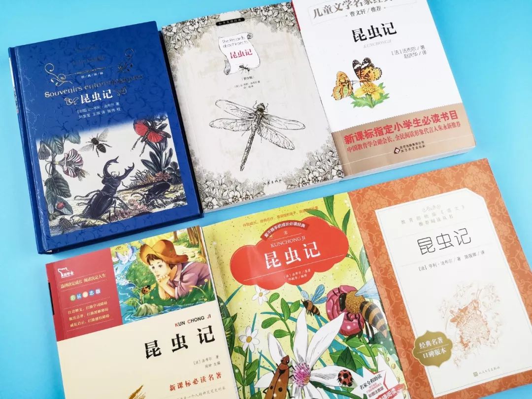 成长必读法布尔昆虫记,法布尔昆虫记书分享