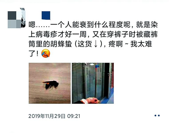 户外晒衣服防虫子爬进衣服,野外毒蜂蜇伤怎么处理