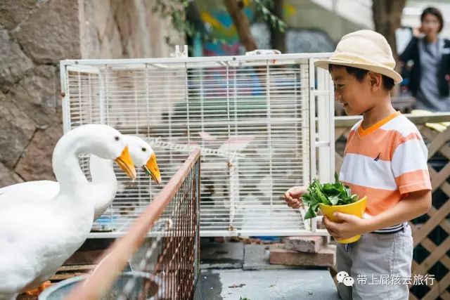 500不到全家住原佘山艾美，居然！周末元旦春节还是不加价