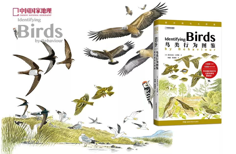 这也许是最好买的一场劲草嘉年华……