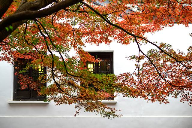 无锡惠山古镇旅游攻略,周末游无锡之惠山古镇攻略路线