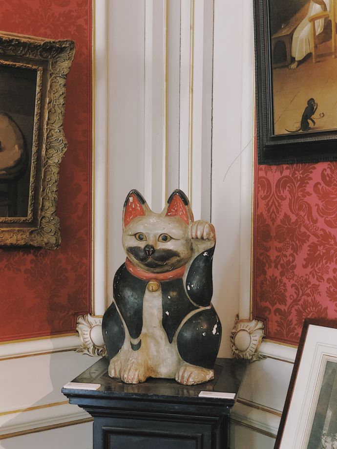 各种猫咪的博物馆,猫咪博物馆都有哪些猫