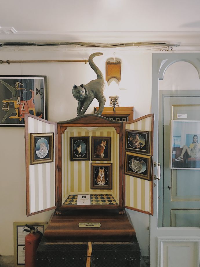 各种猫咪的博物馆,猫咪博物馆都有哪些猫