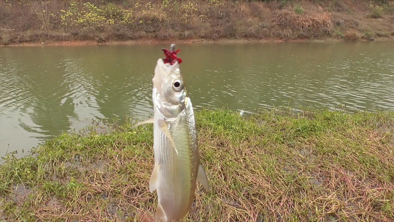 传统钓轻装上阵,传统钓装备怎么做到轻松又舒服