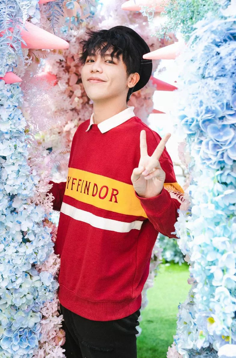 palnartpoc联名哈利波特,哈利波特联名合集