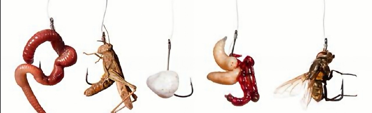 传统钓轻装上阵,传统钓装备怎么做到轻松又舒服