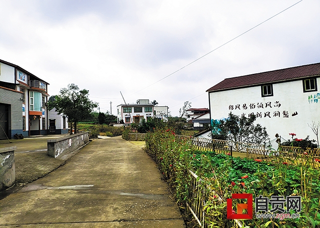 自贡农村振兴发展,丰年人乐业踏歌行