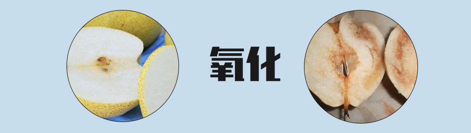 被网暴退学，被骂糊失业，初代宅男女神*局破**重生再翻红