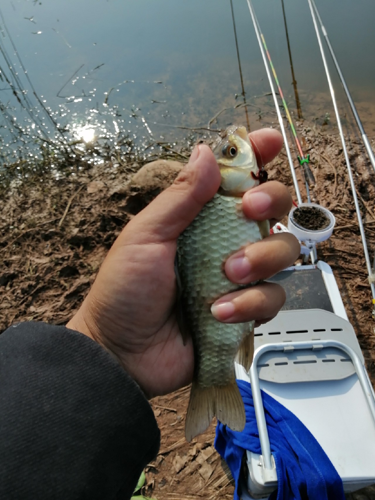 探钓偶遇小钓友怎么说,钓场用什么搭钓台