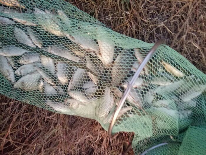 野钓装备饵料,野钓装备有哪些