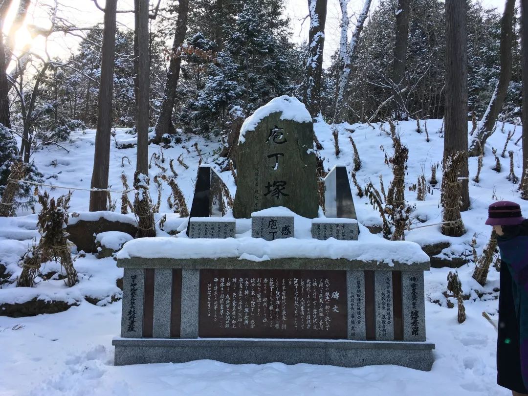 游记雪野湖作文,北海道游记