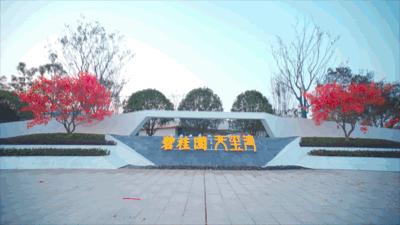 碧桂园天玺湾喜报来袭,碧桂园天玺湾6号楼认筹