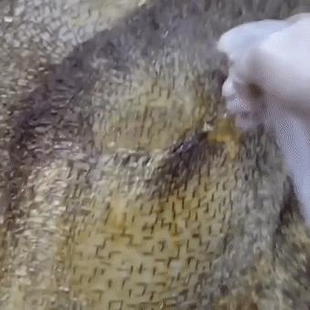 切出40000块面包丁玩拼图，无聊吃货的最高境界？甚至鸽子粪都不放过？