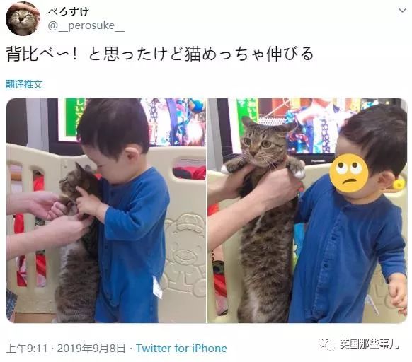 盘点喵星人的高光时刻,最好看的喵星人图片