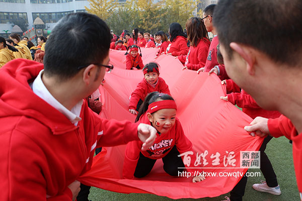 巨人树幼儿园直播,巨人树幼儿园活动主题