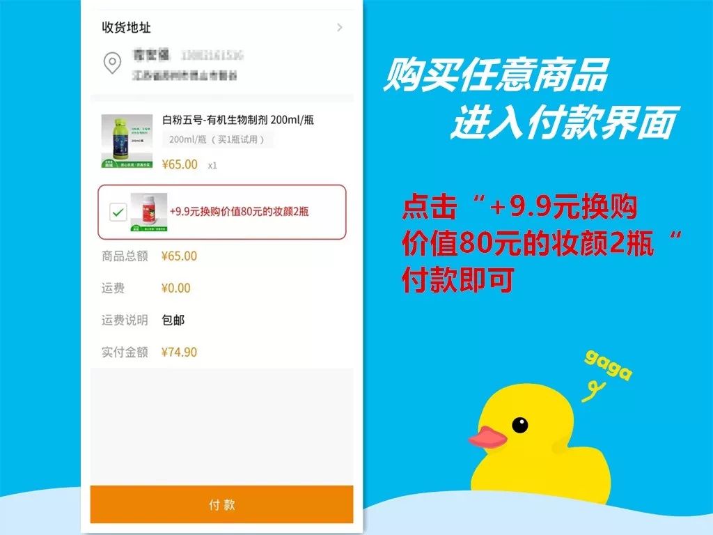 双十二惊喜来袭,双十二惊喜直降