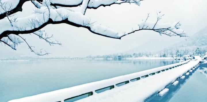 湘湖“当家人”这片碧水：有一种幸福叫创业和生活在湘湖