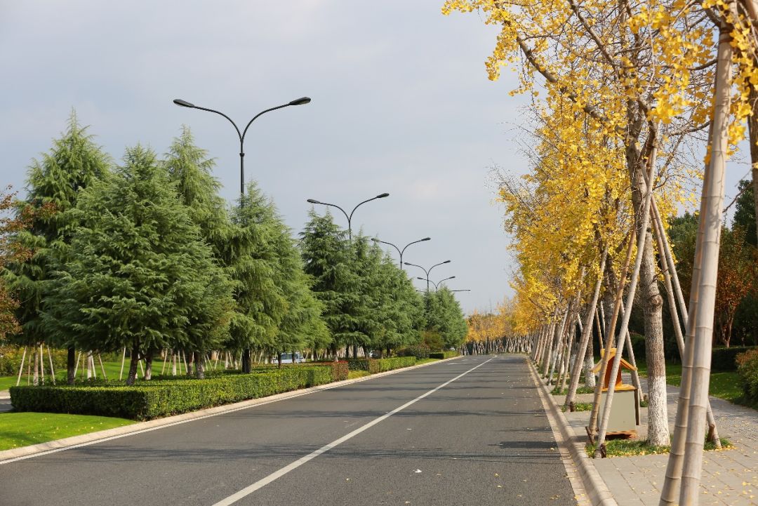 义乌最美的风景区是哪,义乌佛堂网红打卡地