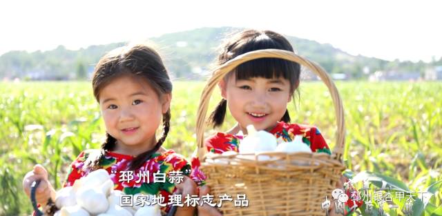 邳州大蒜今天价格,邳州大蒜获得欧盟地理标志保护