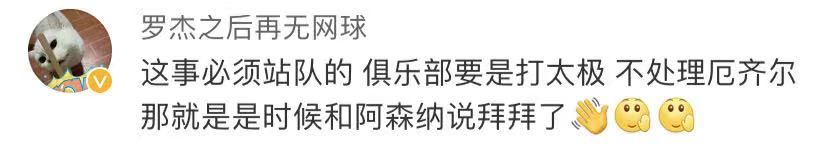 阿森纳凌晨战曼城视频,阿森纳发表声明厄齐尔