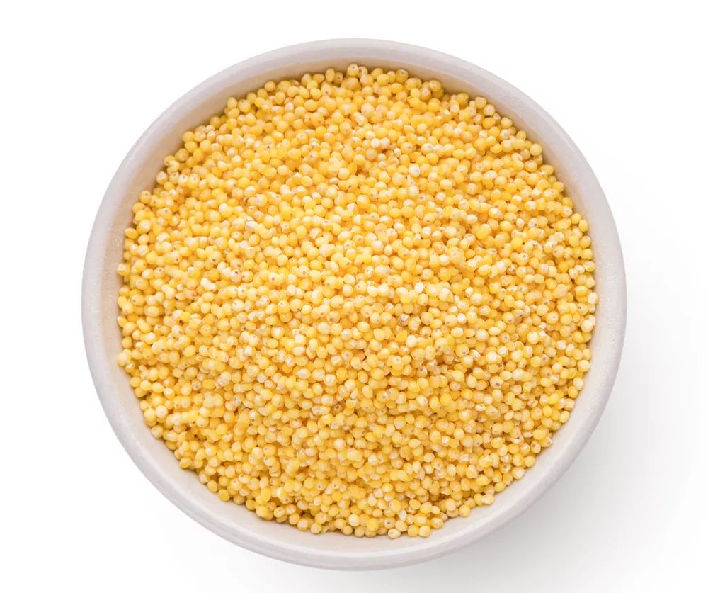 小米煮多久营养最佳,哪里小米好吃又营养