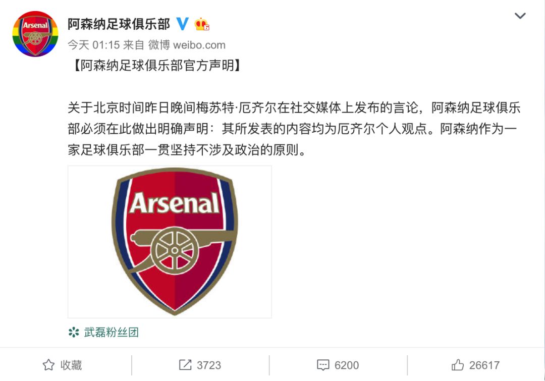 梅苏特·厄齐尔涉华言论,厄齐尔发表主权言论