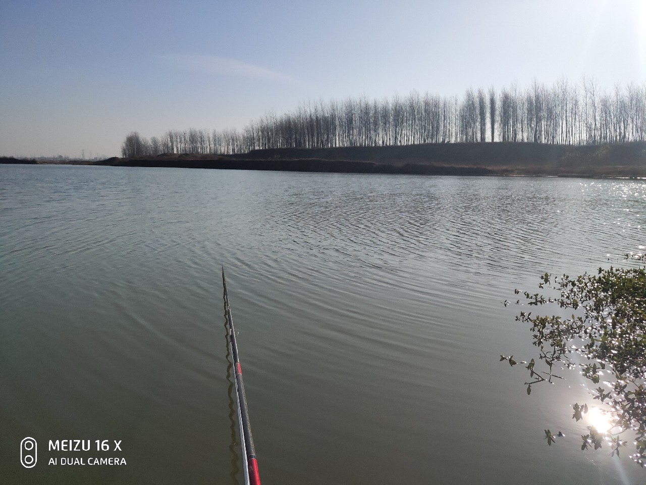 沙河钓大板鲫,沙河钓乌龟