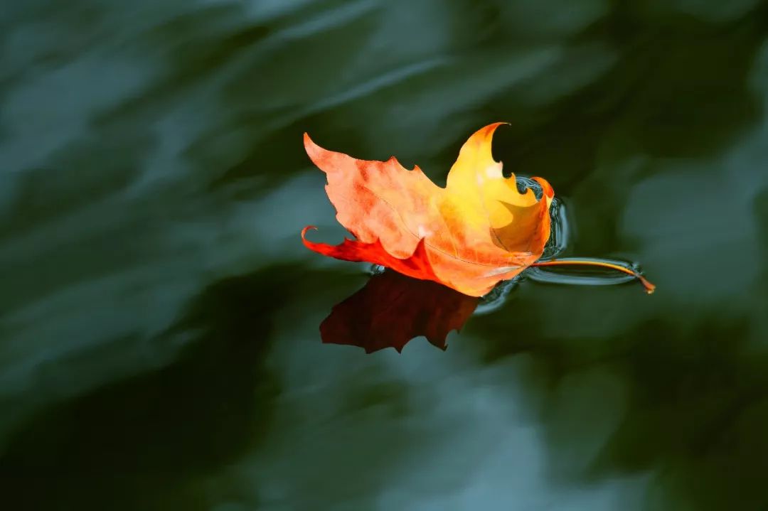 夜话丨愿烟火人间，安得太平美满