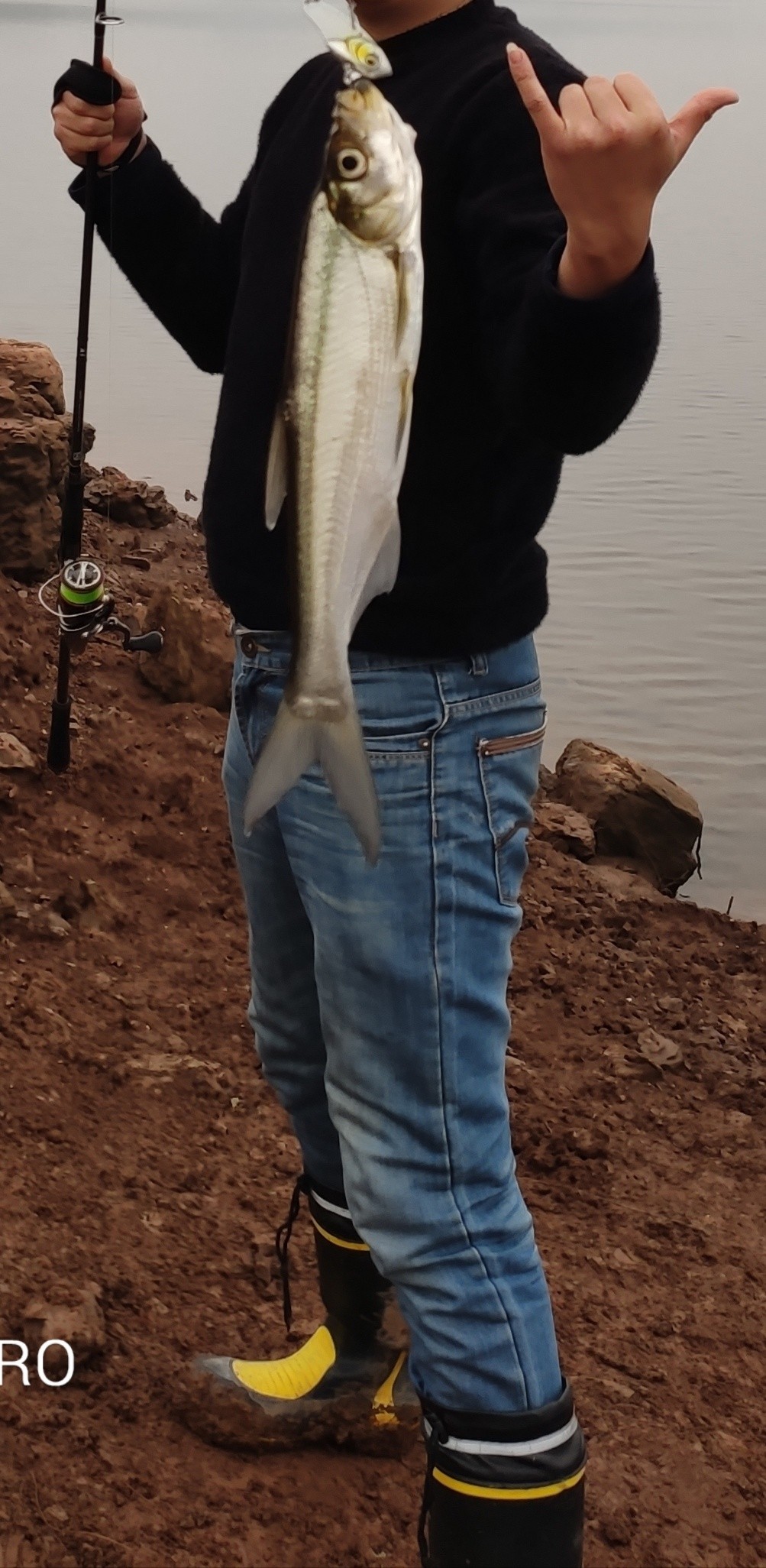 路亚和矶钓如何选择,台钓和路亚哪个烧钱