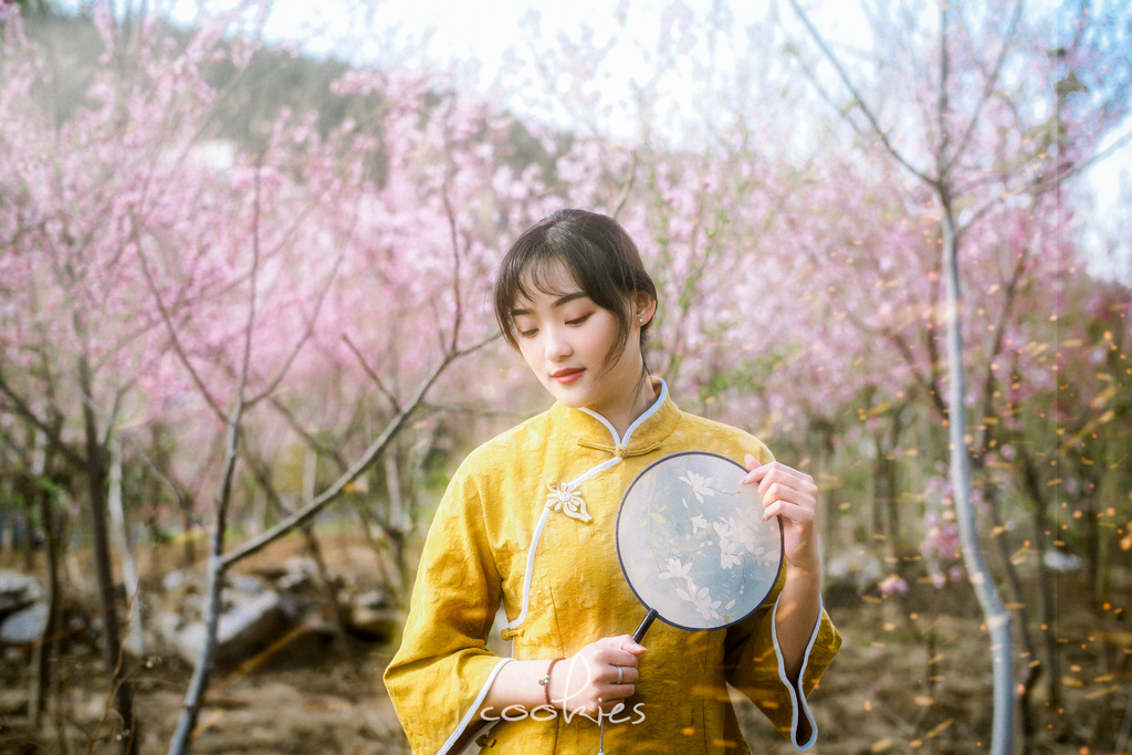 尼康佳能宾得全幅相机比拼,尼康索尼佳能50mm1.2镜头对比