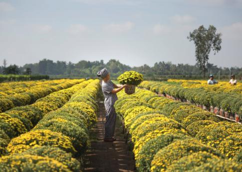 投资少见效快冷门创业项目,适合穷人创业项目投资小见效快