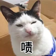 天津春节快递通知,春节快递停运通知表中通