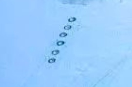 哈尔滨一高校操场惊现双航母,朋友圈刷屏清华大学