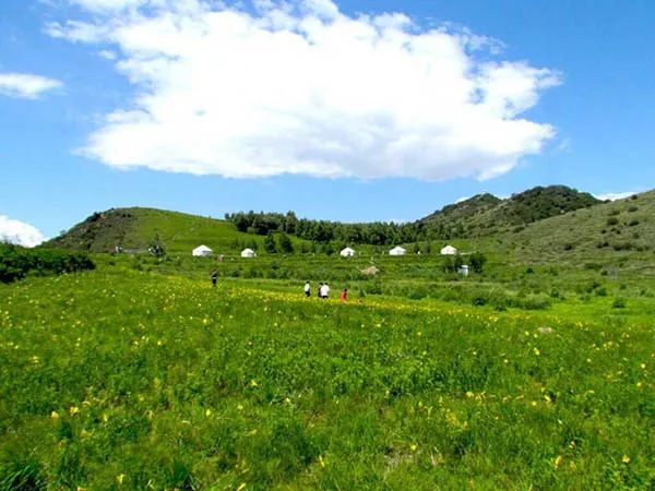 京张高铁一日游攻略,京张高铁沿线旅游资源