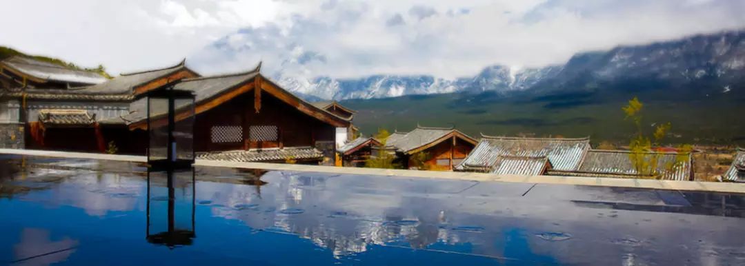 这个乳胶枕太强了！止鼾、防螨虫，全家适用的睡眠伴侣