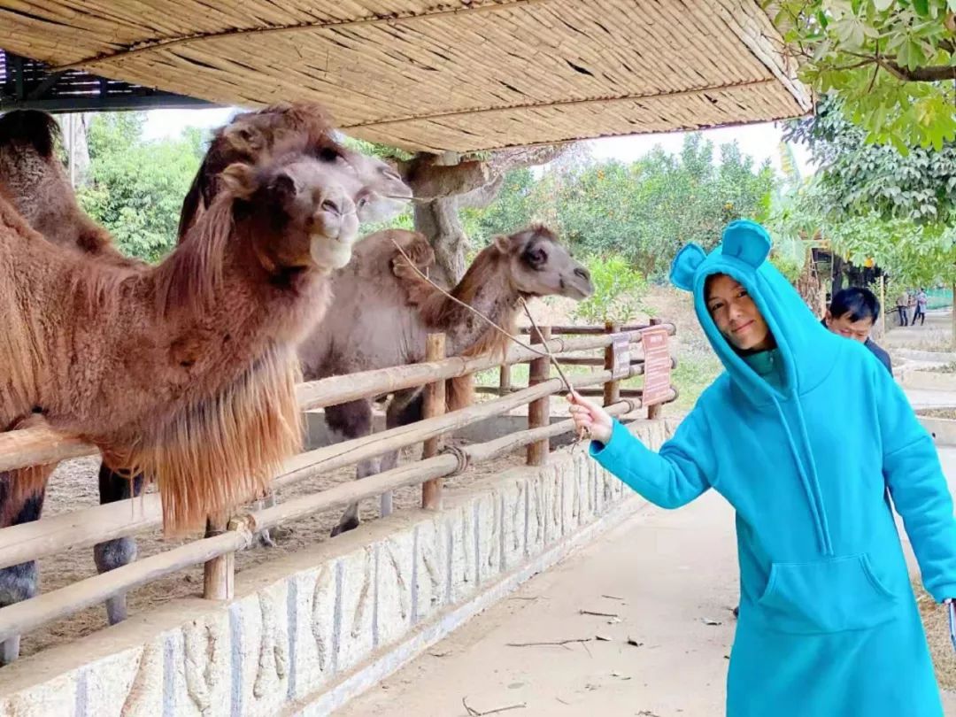 旅行出差必备的3种神器实惠好用,外国出差旅行必备十大神器