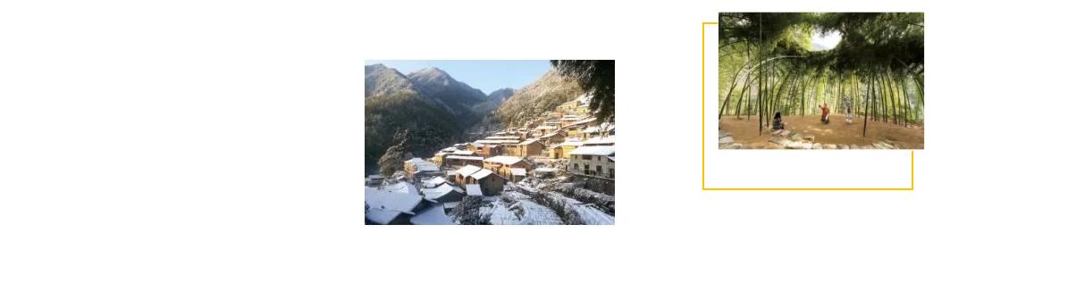 松阳古村落古树人家风景美如画,松阳千年古村落