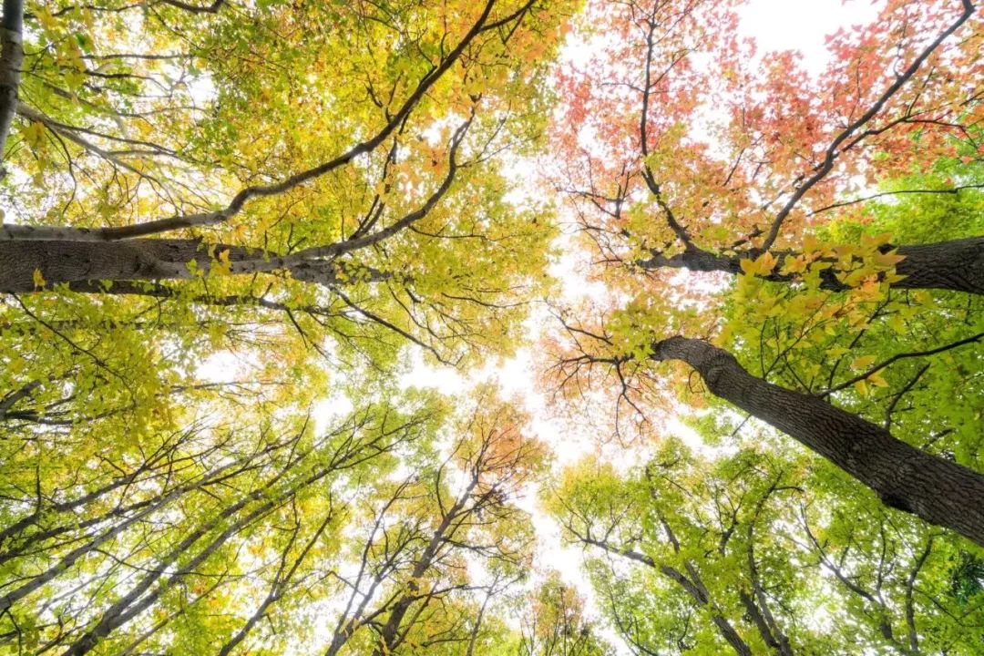 走进安徽大学校园,走进安徽大学