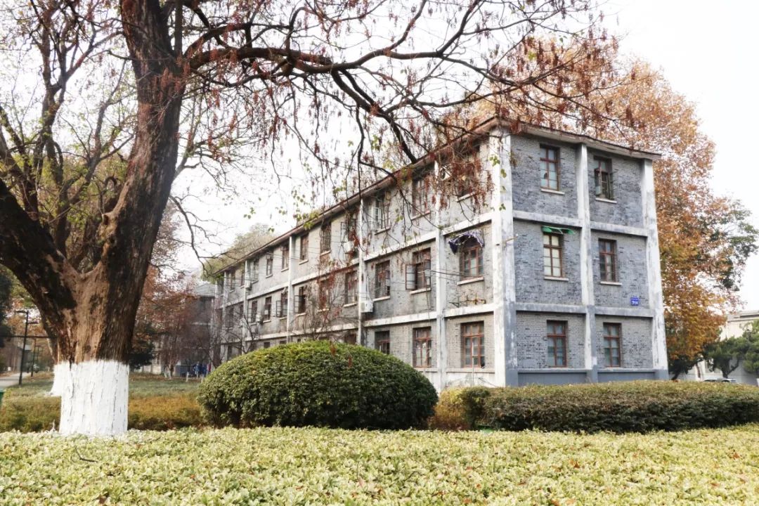 走进安徽大学校园,走进安徽大学