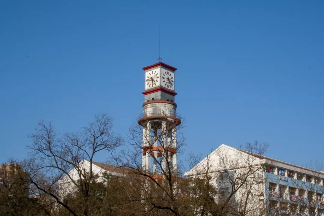 合肥安农大蜀山区,合肥安农大老校区地址