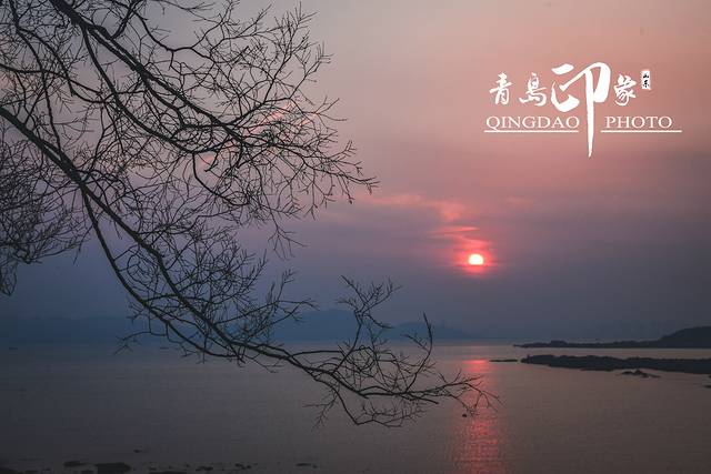 猝不及防闯入你的容颜|你好,青岛